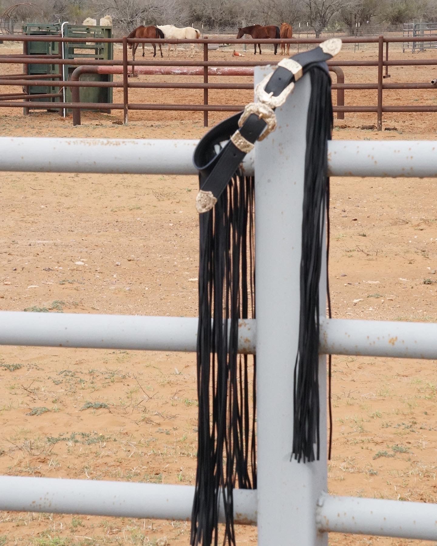 Fringe Belt